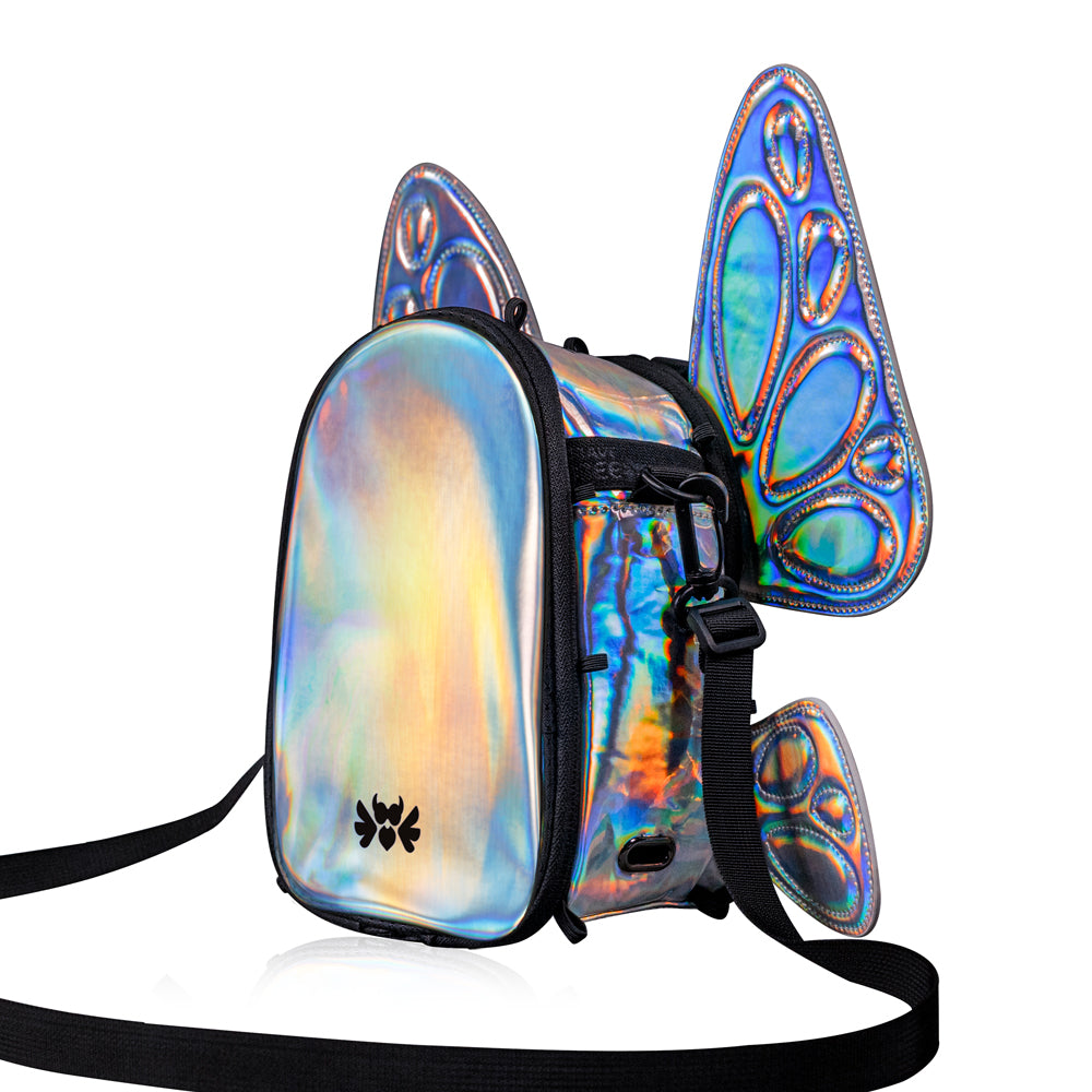 FLOWt Magic Backpack – Interchangeable Wing Mini Backpack for Theme Park Outfits (Silver)